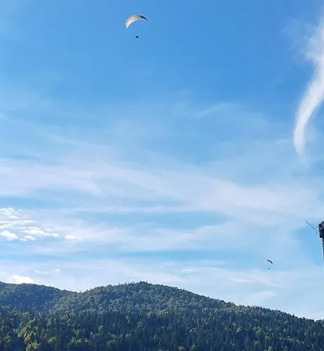 Grey Igloo Apartment